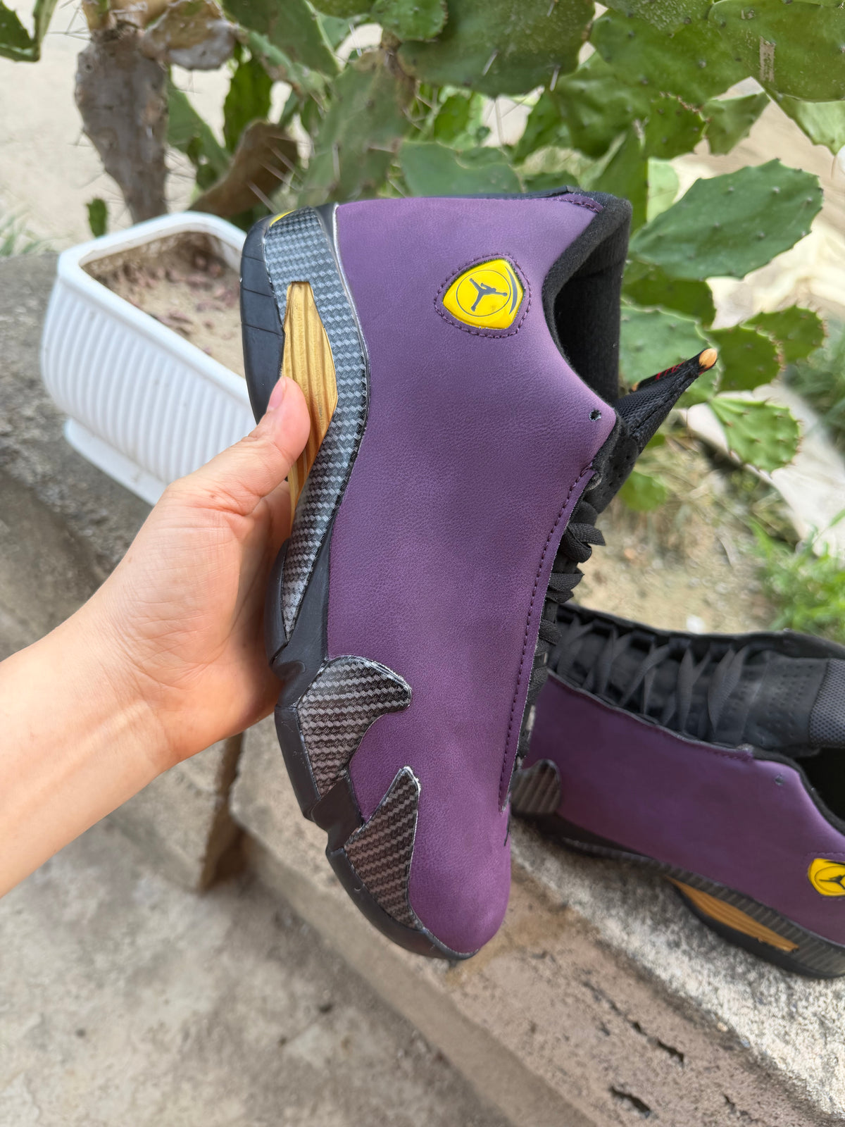 Air Jordan 14 Retro 'Purple Suede' Custom