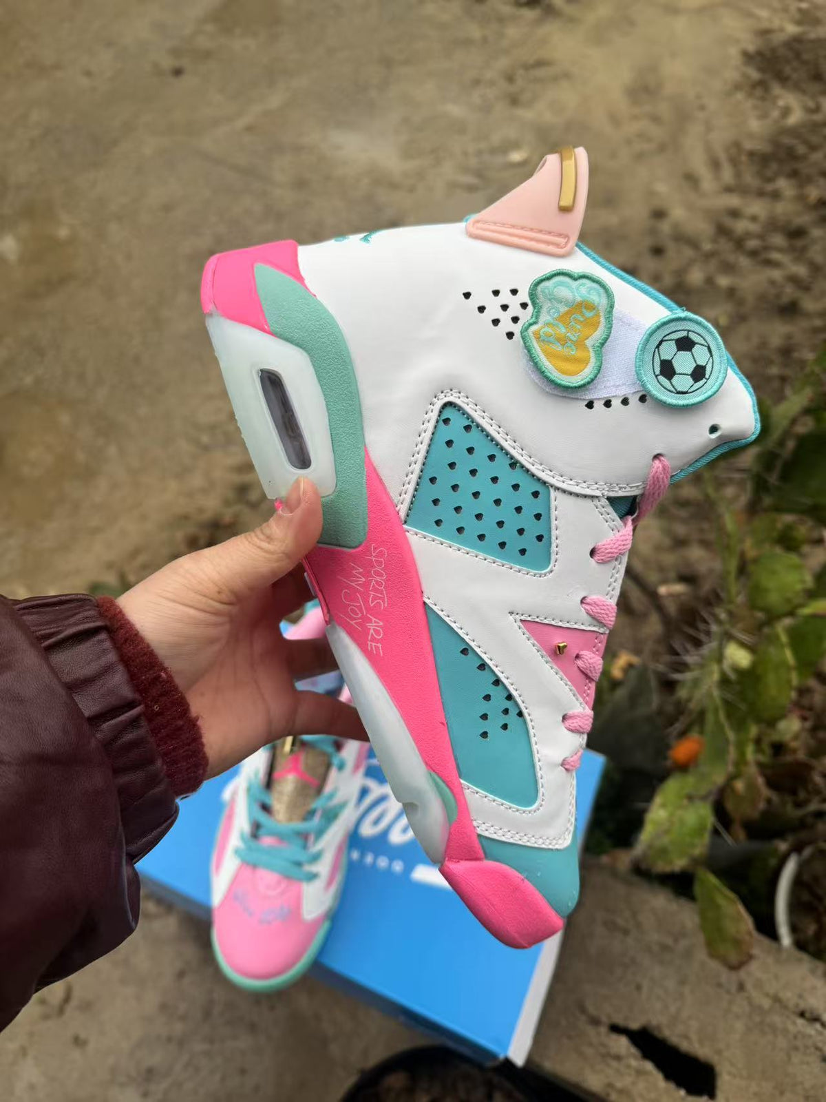 Awake NY x Air Jordan 6 Retro 'Playful Pink' (2026)